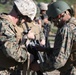 Marines shoot for combat accuracy