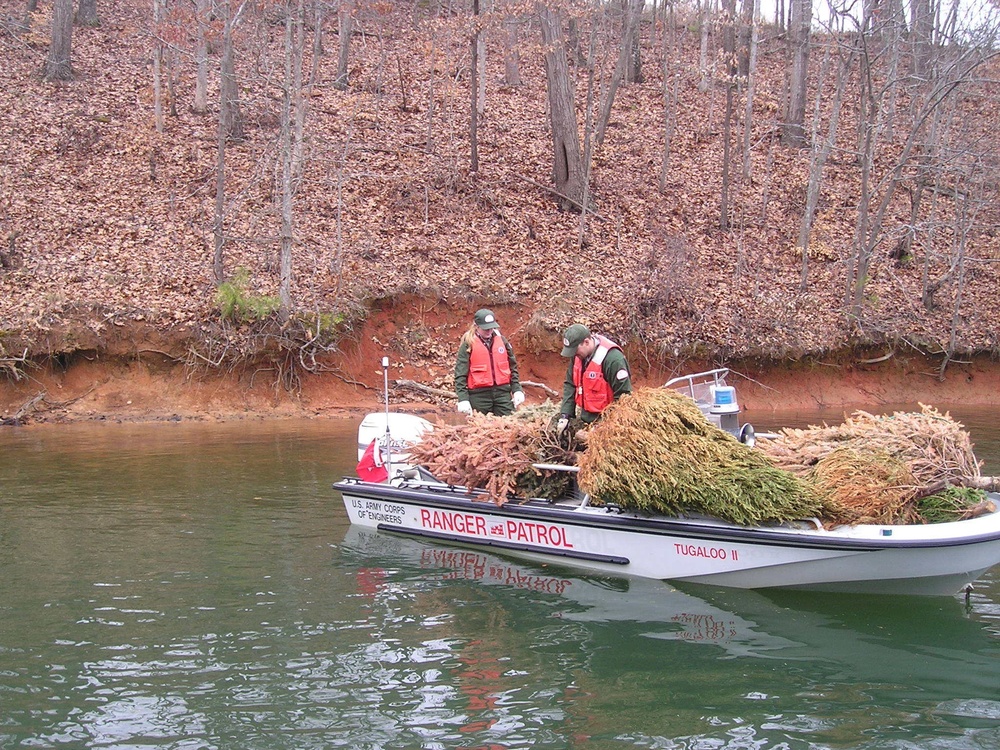 Corps' Hartwell Lake Office accepts Christmas trees for recycling