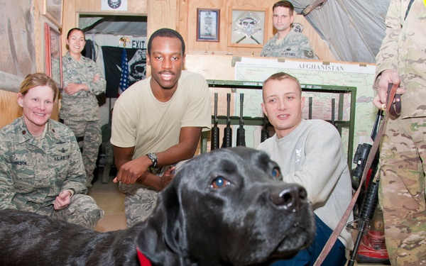 Combat stress dog visits 73rd EACS