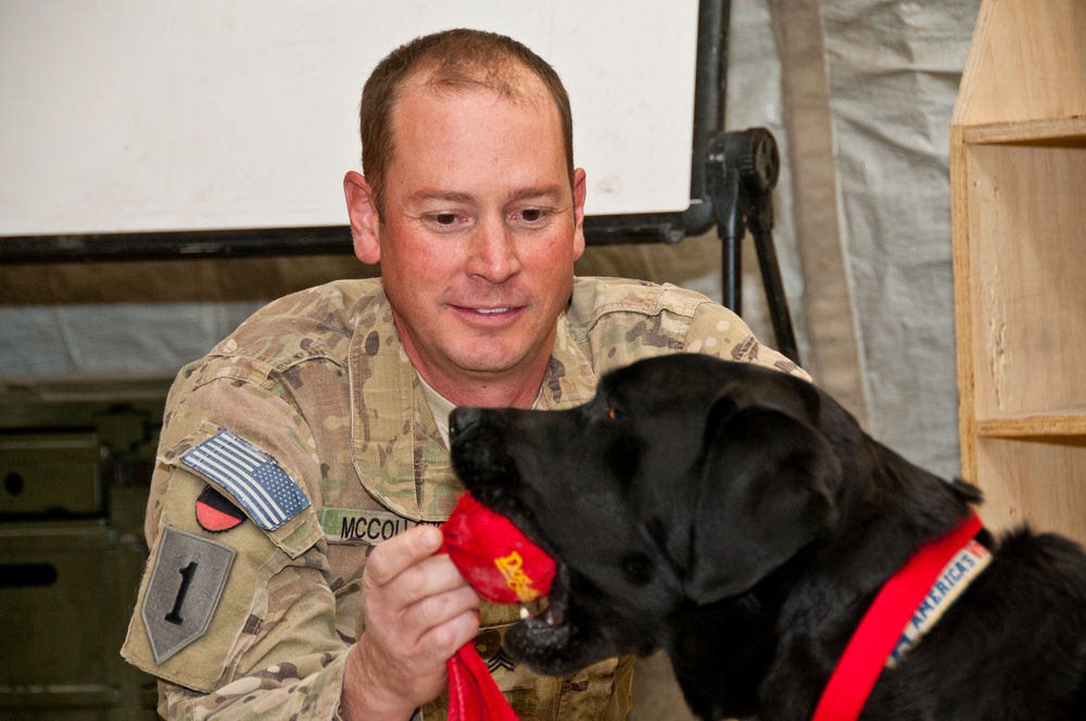 Combat stress dog visits 73rd EACS