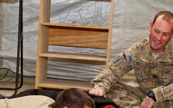 Combat stress dog visits 73rd EACS