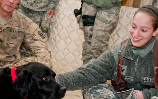 Combat stress dog visits 73rd EACS