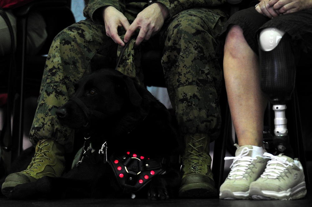 Prisoner-trained service dog is placed with a wounded service member