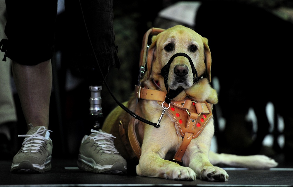 Prisoner-trained service dog is placed with a wounded service member