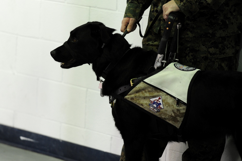 Prisoner-trained service dog is placed with a wounded service member