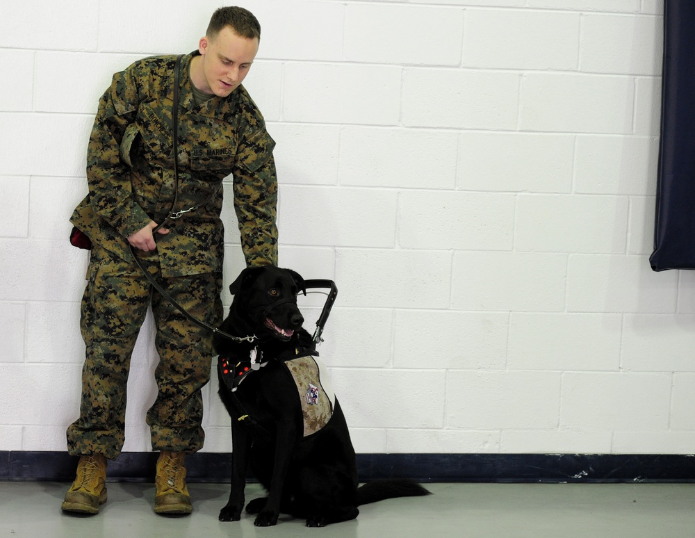 Prisoner-trained service dog is placed with a wounded service member