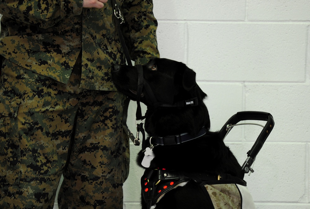 Prisoner-trained service dog is placed with a wounded service member