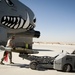 A-10 inspection