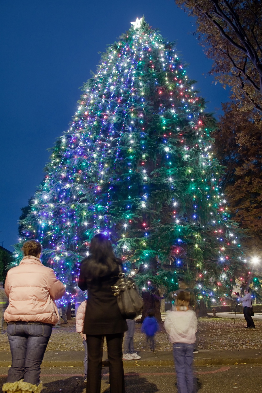 Yokota kicks off holiday season with tree lighting