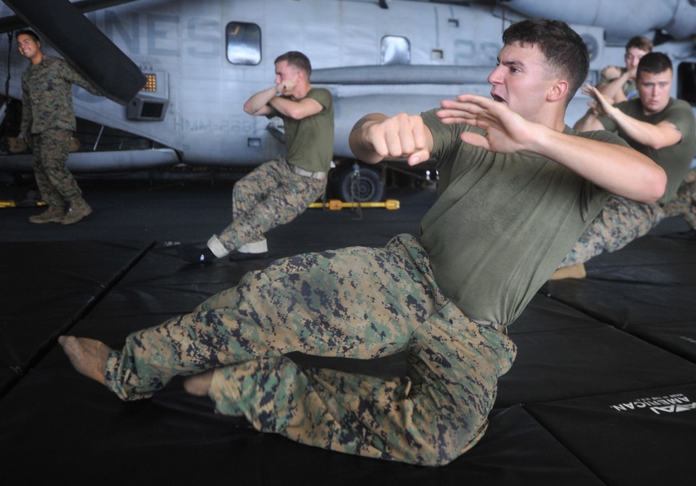 DVIDS - Images - Martial arts training aboard USS Makin Island [Image 2 ...