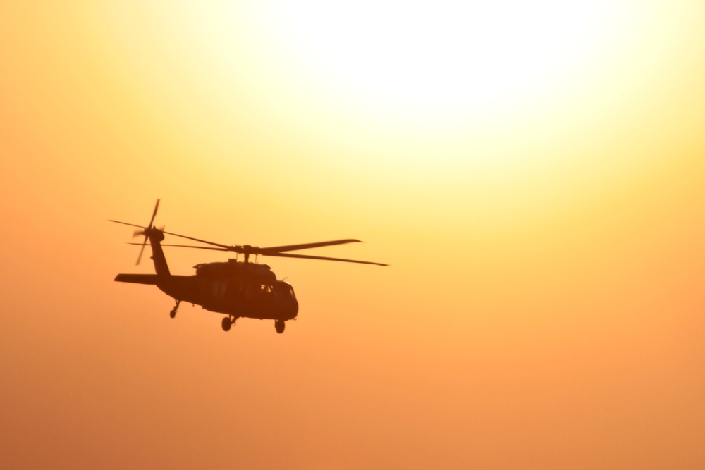 Black Hawks crosses the sun