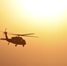 Black Hawks crosses the sun