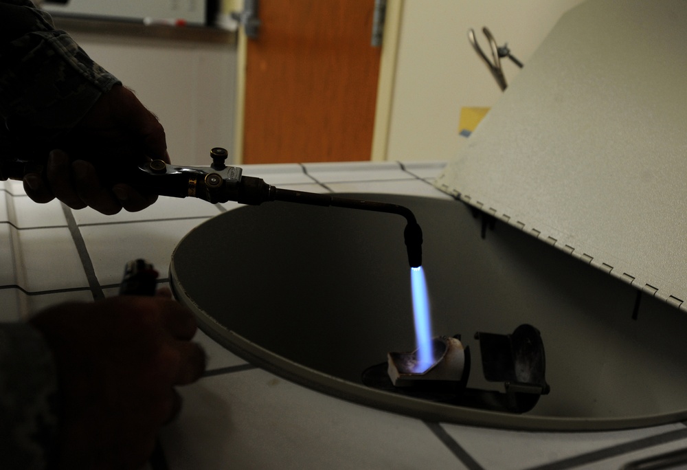 Dental Lab Technicians at work