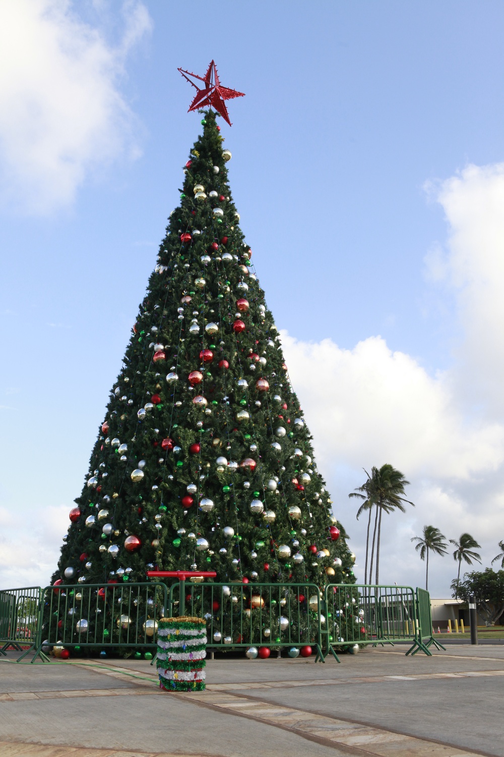 MCB Hawaii Christmas tree lighting
