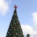 MCB Hawaii Christmas tree lighting