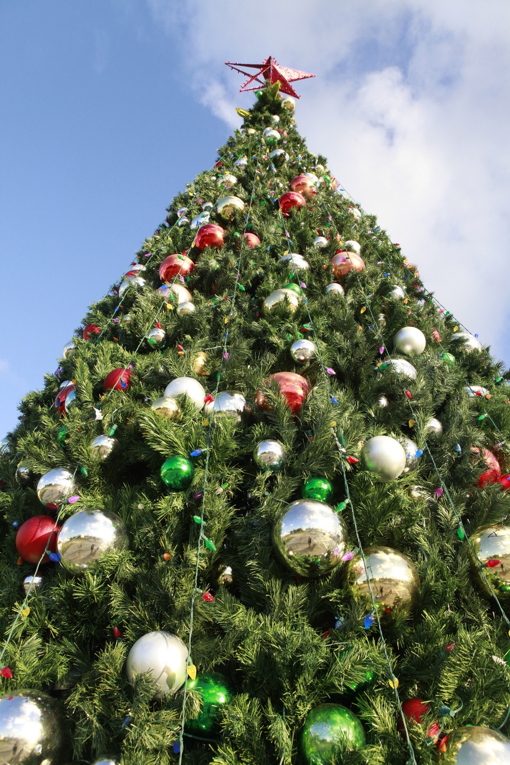 MCB Hawaii Christmas tree lighting