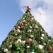 MCB Hawaii Christmas tree lighting