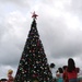 MCB Hawaii Christmas tree lighting