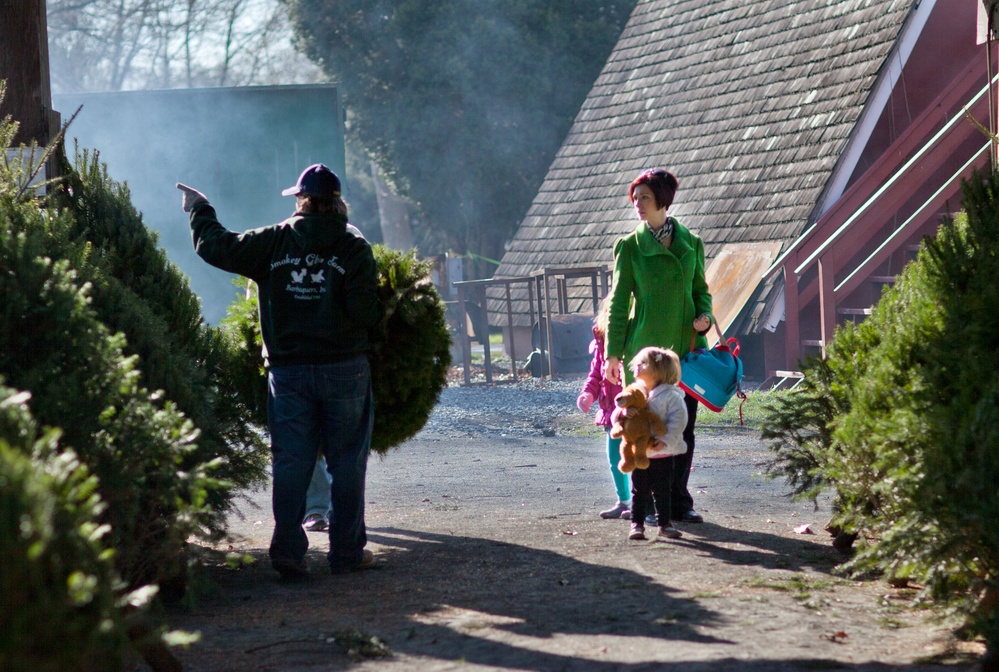 Organizations donate Christmas trees to service members