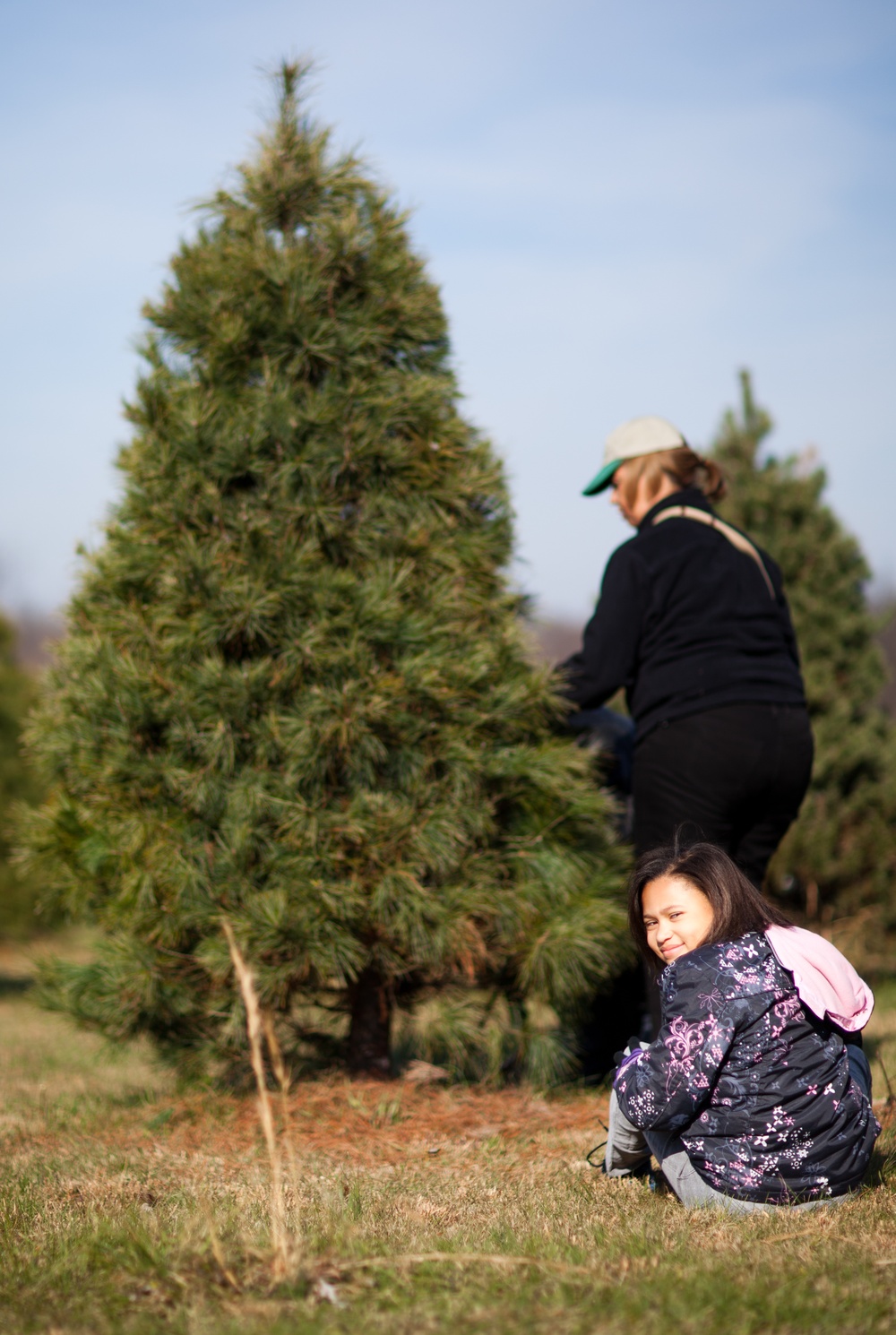 DVIDS - Images - Organizations donate Christmas trees to service ...