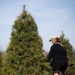 Organizations donate Christmas trees to service members