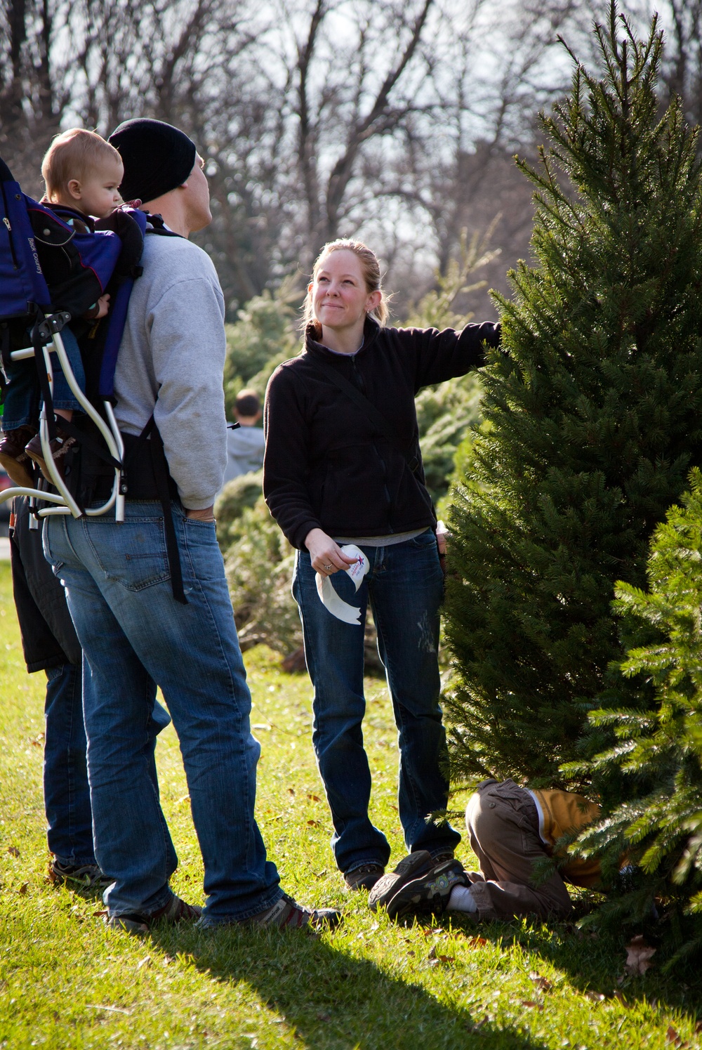 Organizations donate Christmas trees to service members