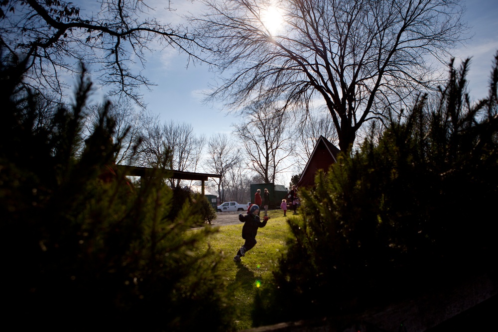 Organizations donate Christmas trees to service members