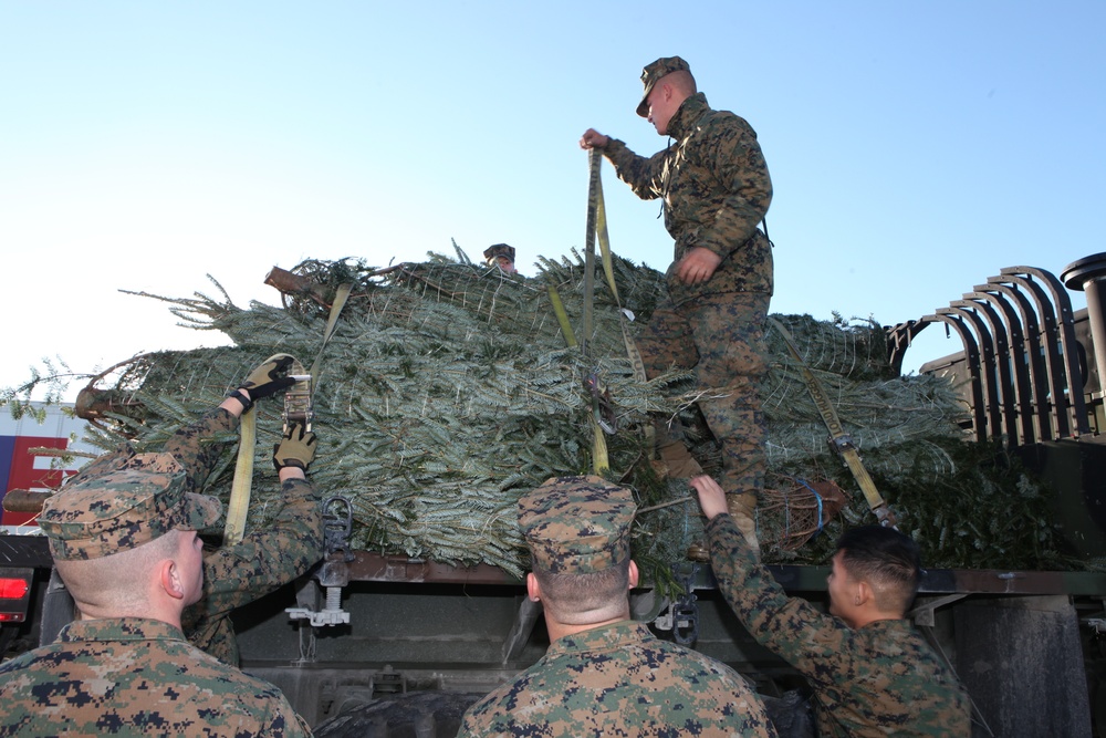 Operation Christmas: Trees for Troops delivers holiday cheer to base