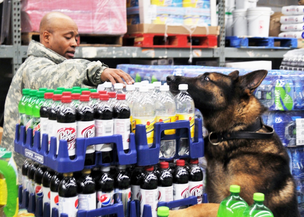 289th Military Police K-9 training