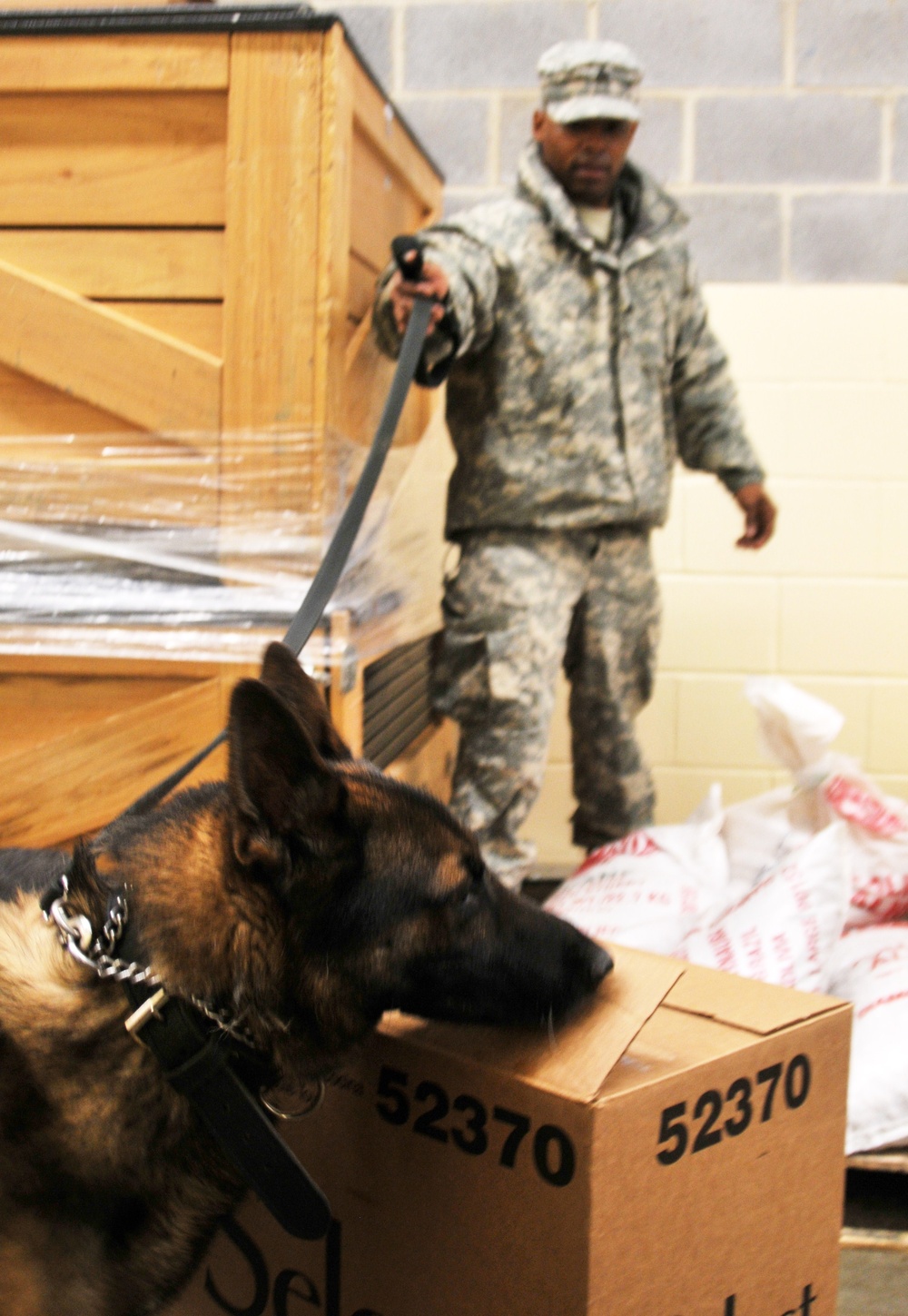 289th Military Police K-9 training