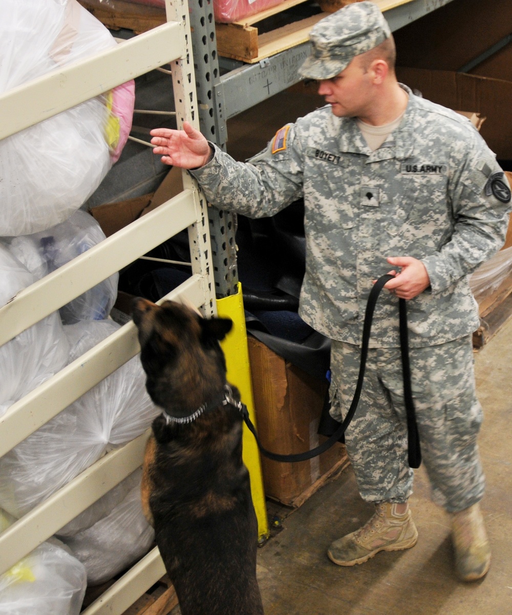 289th Military Police K-9 training