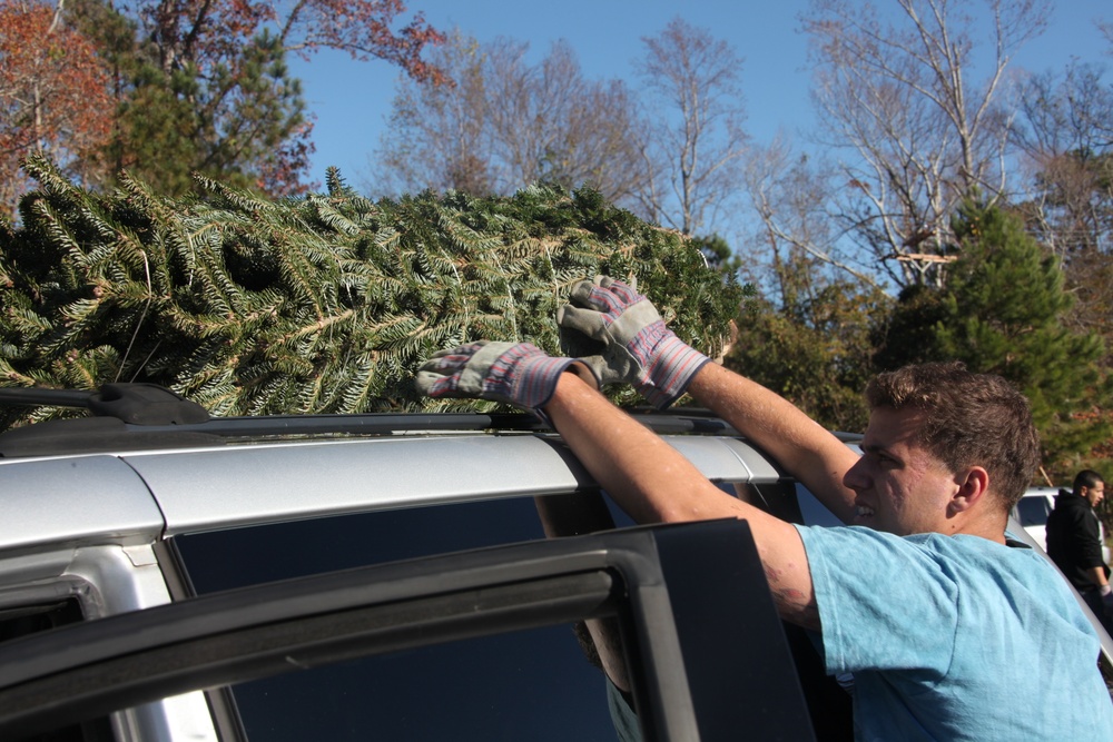 Trees for Troops: Yearly event brings free trees, holiday cheer to Cherry Point
