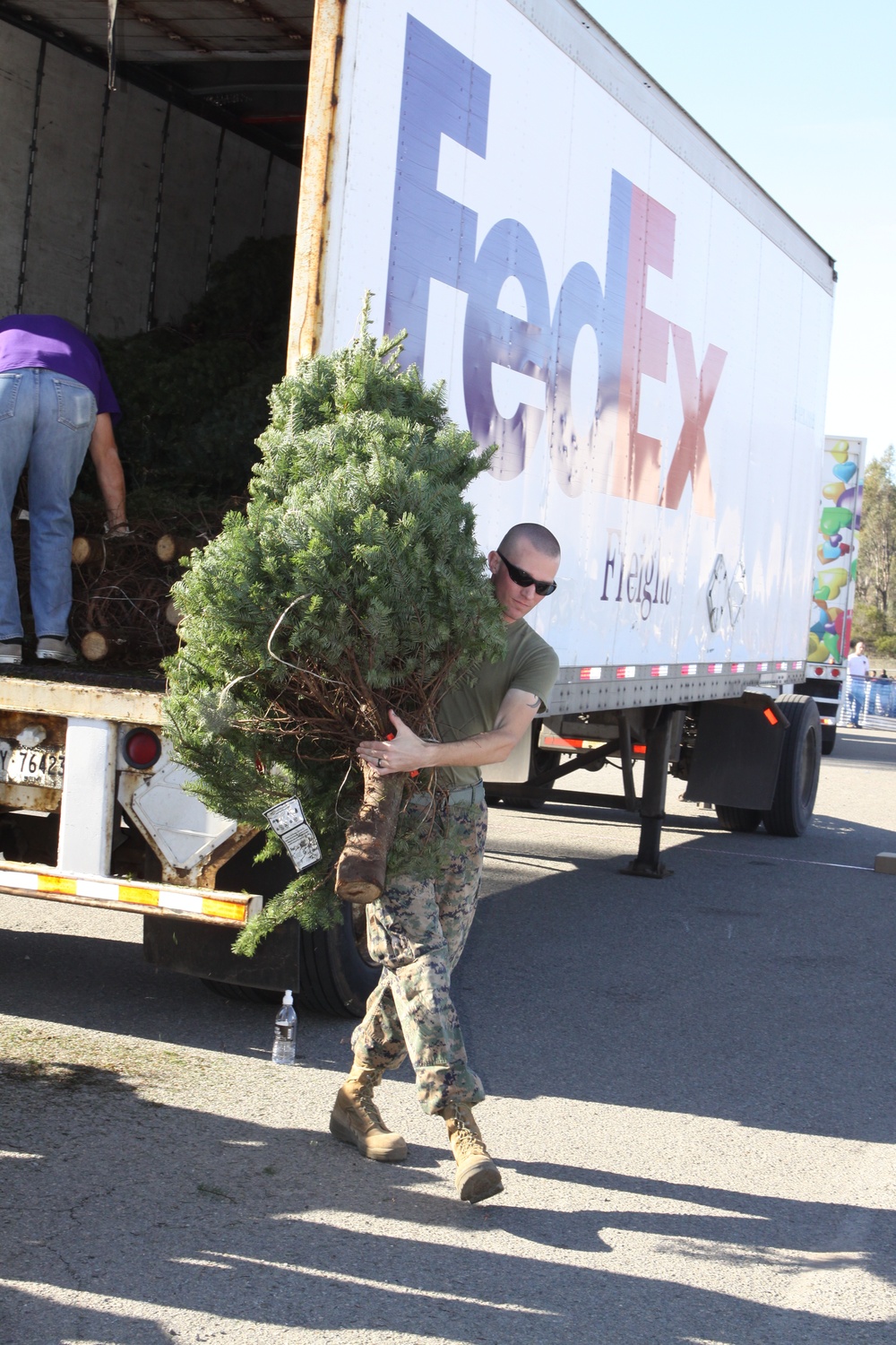 Trees for Troops provides Christmas trees to Marines, families