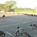 Amphibious Southern Partnership Station 2012