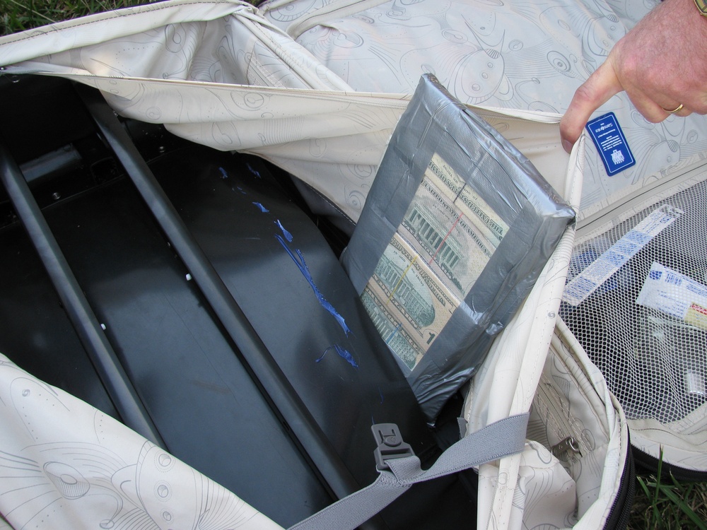 Smuggled cash inside luggage liner