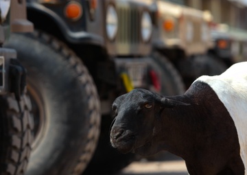 US Marines support Somalia-bound Djiboutian motor group