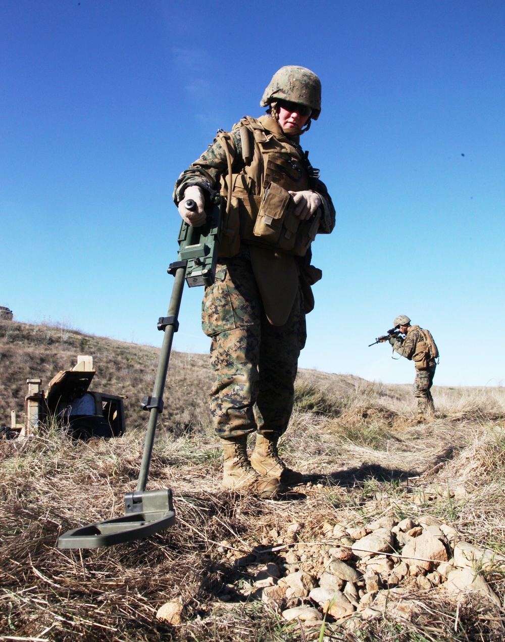CLB-5 Marines train in Mobile Immersion Trainer