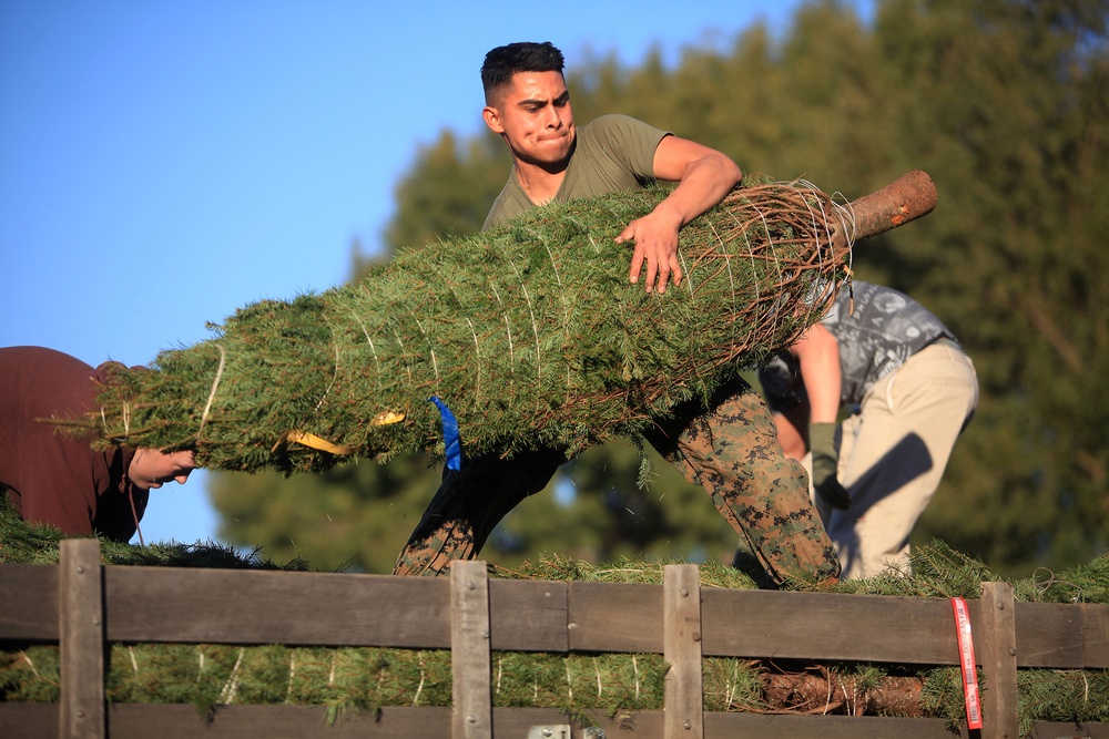 Pendleton Marines receive Christmas trees from local high school