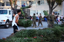Pendleton Marines receive Christmas trees from local high school