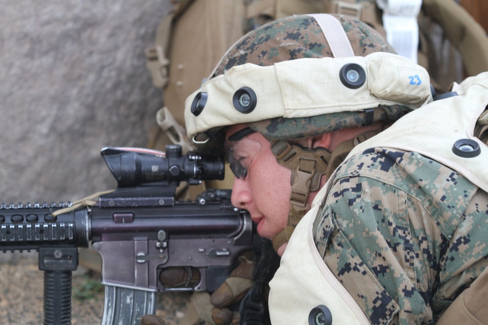 Weapons Company 2/3 Marine Corps Training Area Bellows