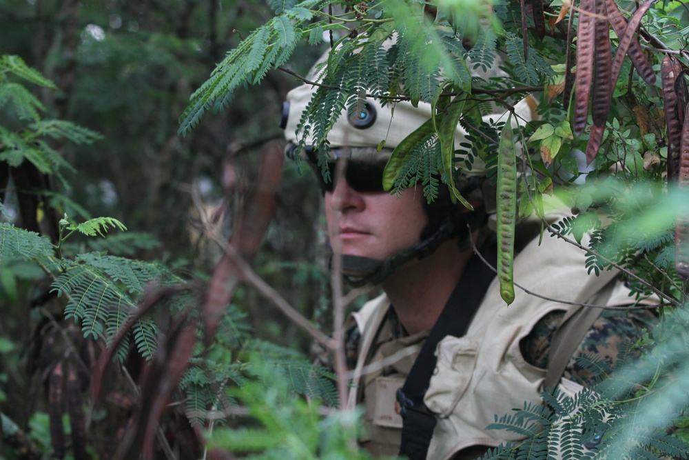 Weapons Company 2/3 Marine Corps Training Area Bellows