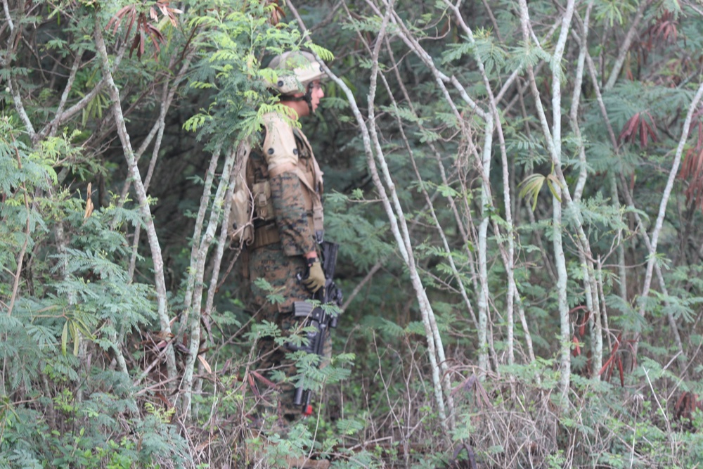 Weapons Company 2/3 Marine Corps Training Area Bellows