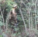 Weapons Company 2/3 Marine Corps Training Area Bellows