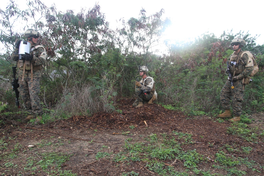 Weapons Company 2/3 Marine Corps Training Area Bellows