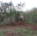 Weapons Company 2/3 Marine Corps Training Area Bellows