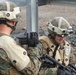 Weapons Company 2/3 Marine Corps Training Area Bellows