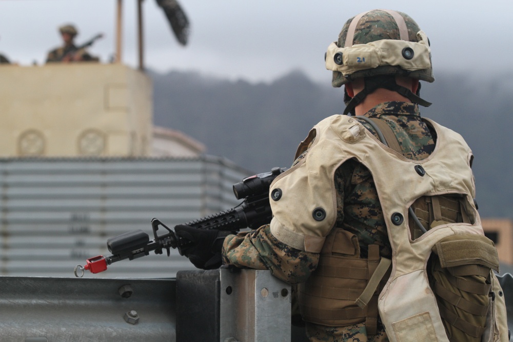 Weapons Company 2/3 Marine Corps Training Area Bellows