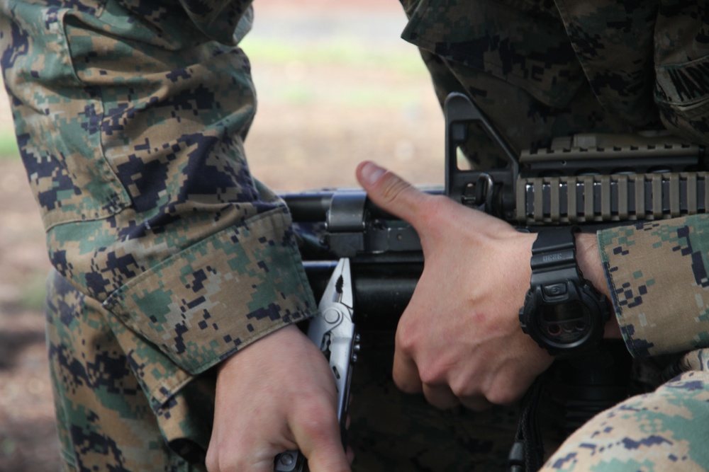 Weapons Company 2/3 Marine Corps Training Area Bellows