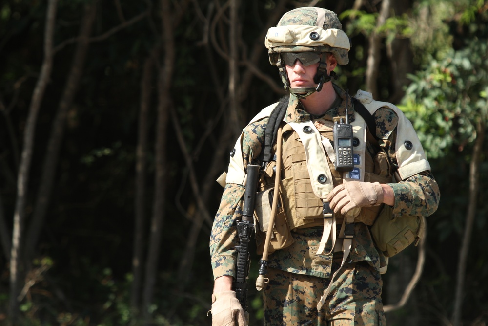 Weapons Company 2/3 Marine Corps Training Area Bellows
