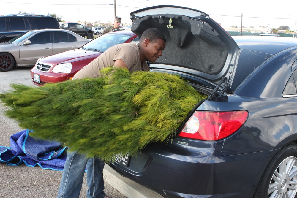 Marines, sailors gather trees for holiday season